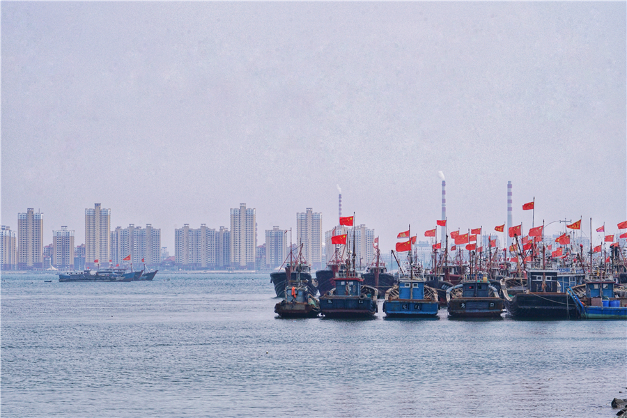渤海湾沿岸最好的避暑胜地,东海湾避暑景点