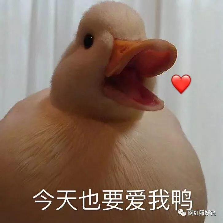 张辛苑用的化妆品,张辛苑化妆台图片