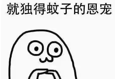 建材老板记录生活,一个建材老板的10年