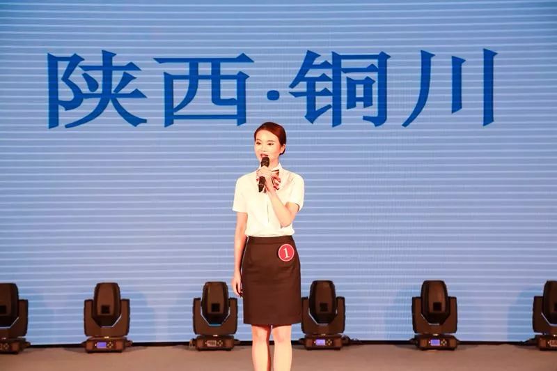 陕西旅游形象大使,陕西形象大使名单