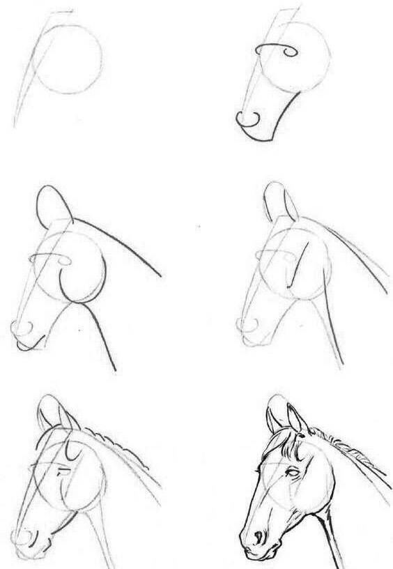 怎么把马画好,如何教你画真实的马