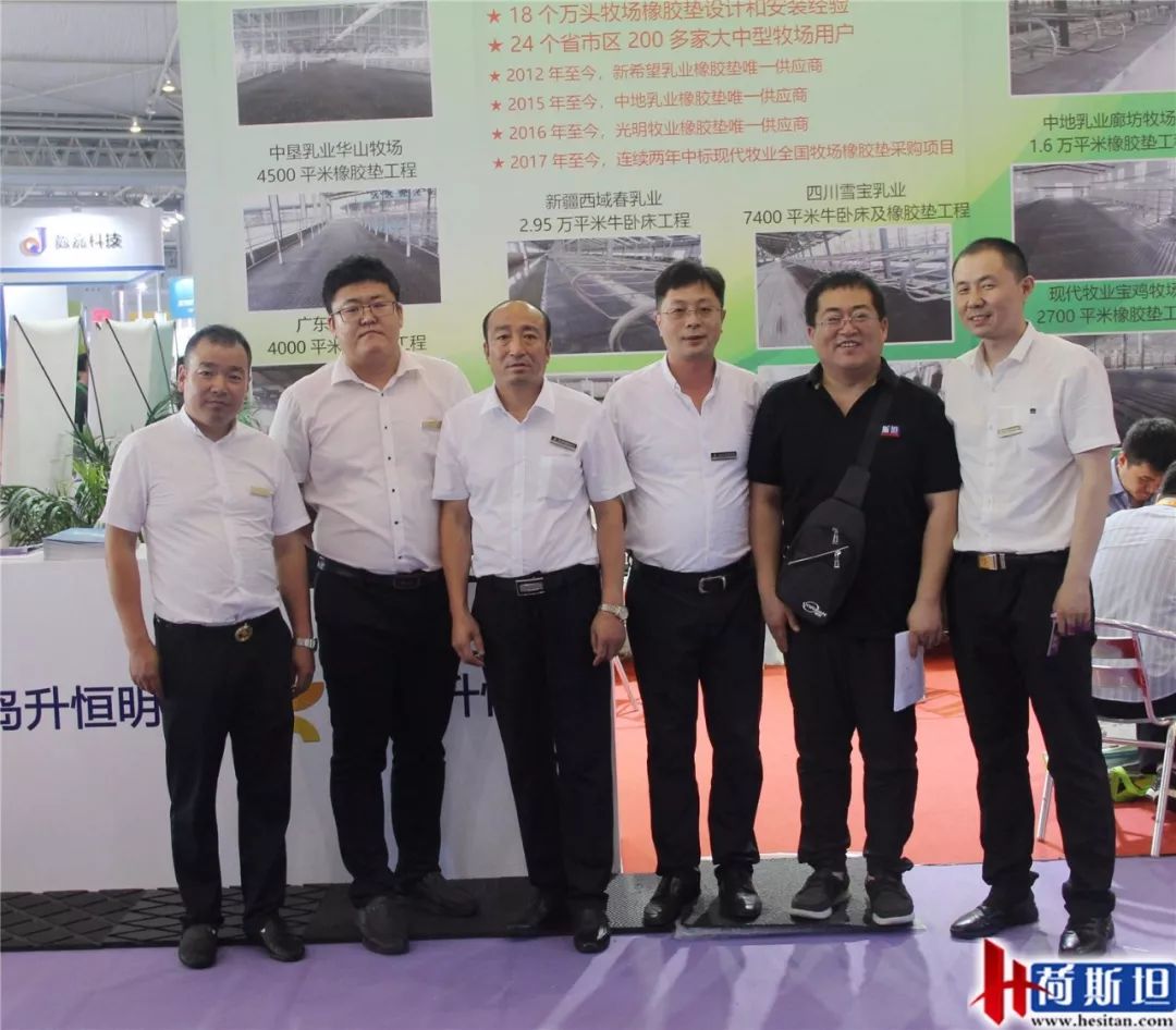 荷斯坦展览会,荷斯坦牛展