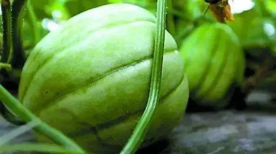 金山人的身价要暴涨！未来将要打造特色小镇，改善交通