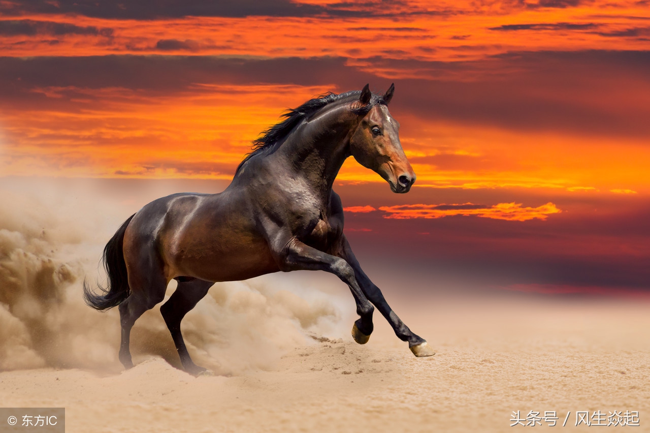 a股半年报预增股名单,2019年年报高送转第一股