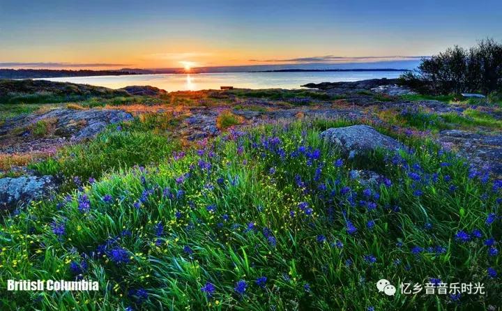 《哦！加拿大》（OhCanada）