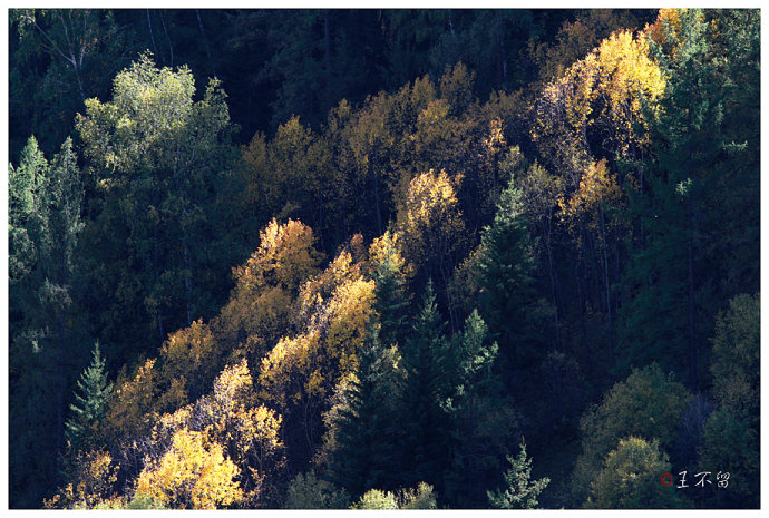 喀纳斯禾木村哪个值得去,喀纳斯禾木村白哈巴村