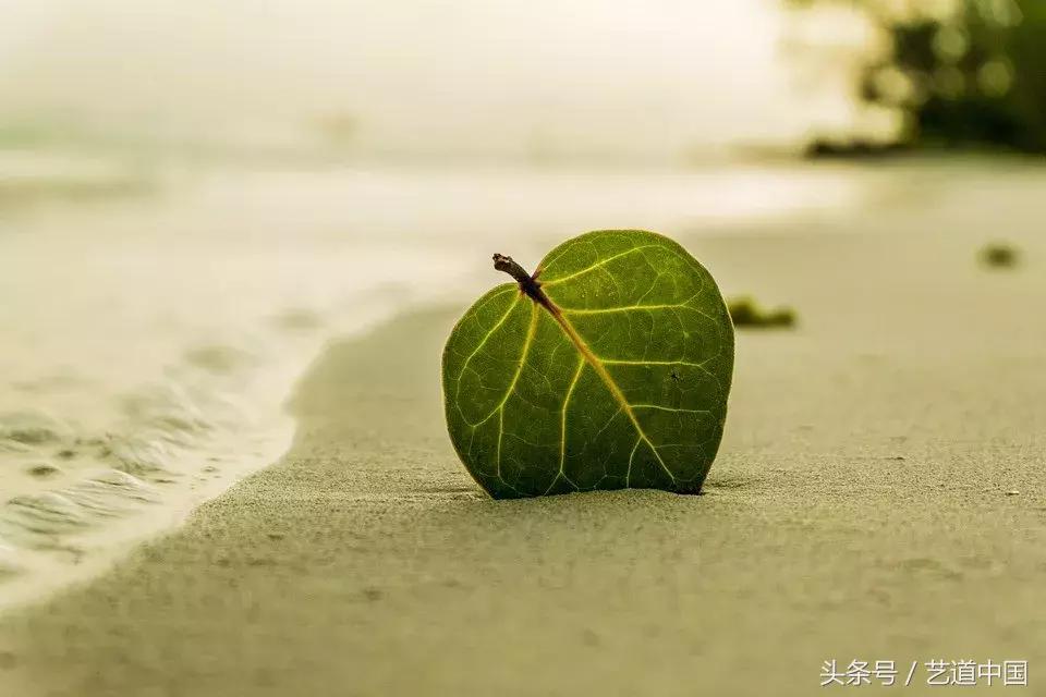 励志名言激励学习视频,激励学习励志名言短句