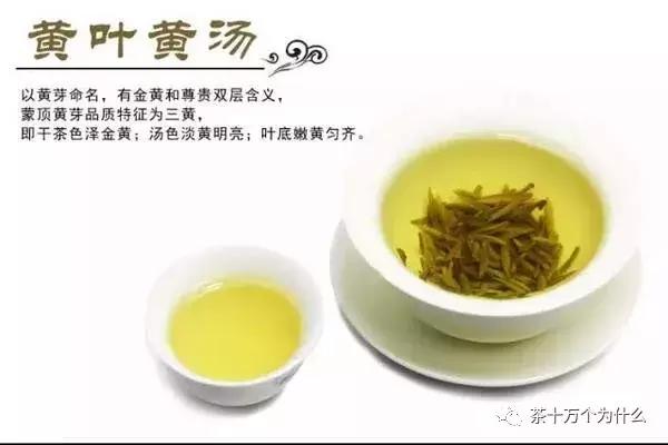 茶叶的分类的六大基本茶类有哪些,六大茶类各个茶的特点
