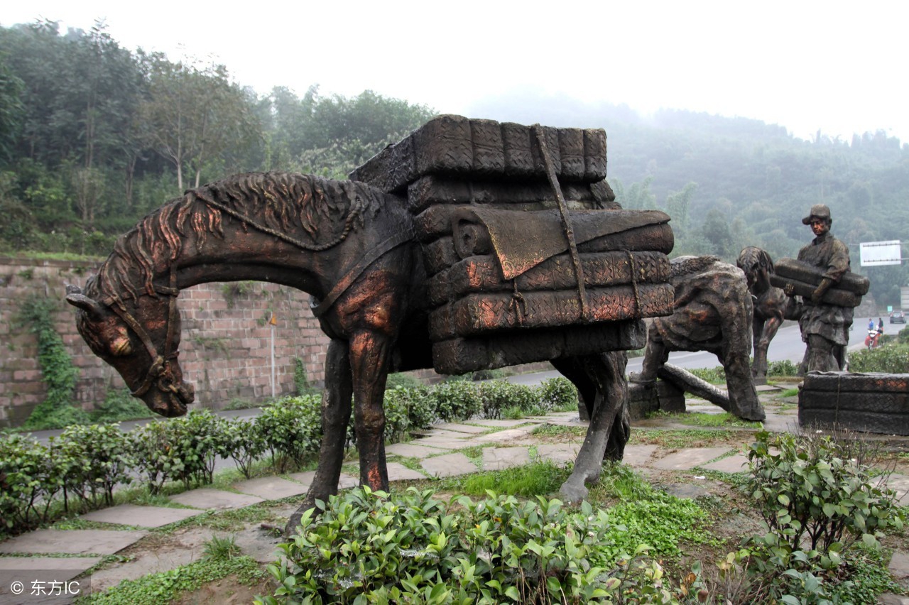 7530勐海七子饼普洱茶357克价格表,茶知识普洱茶饼为何叫七子饼