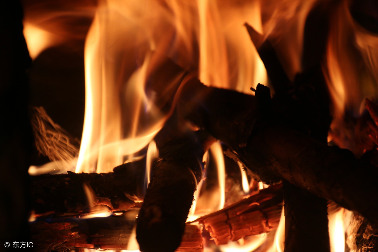 属狗的和属兔的生肖合吗,属兔为什么要配带狗的生肖