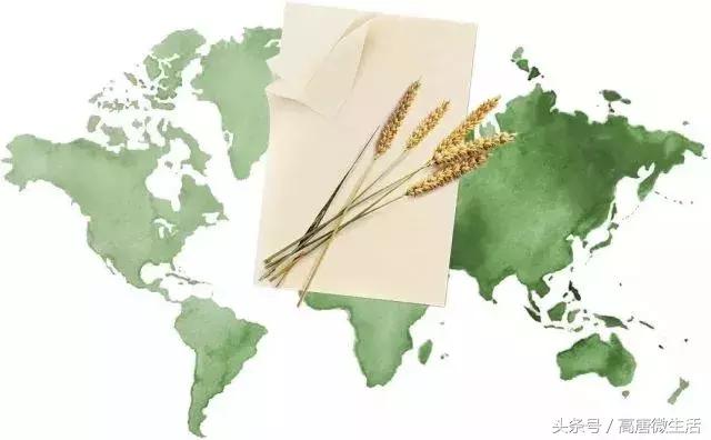 泉林总决赛第一人称,泉林冠军