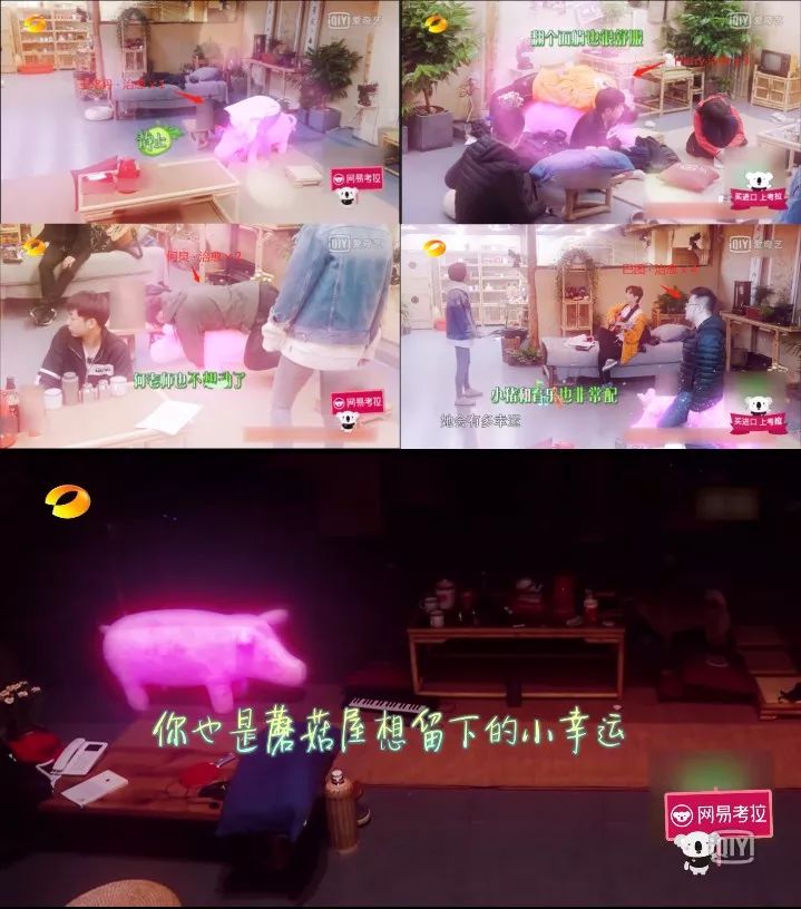 没有中国网友拔不了的草？《向往的生活》才是最大“带货”节目！