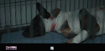 复仇与救赎,韩国复仇电影无尿点