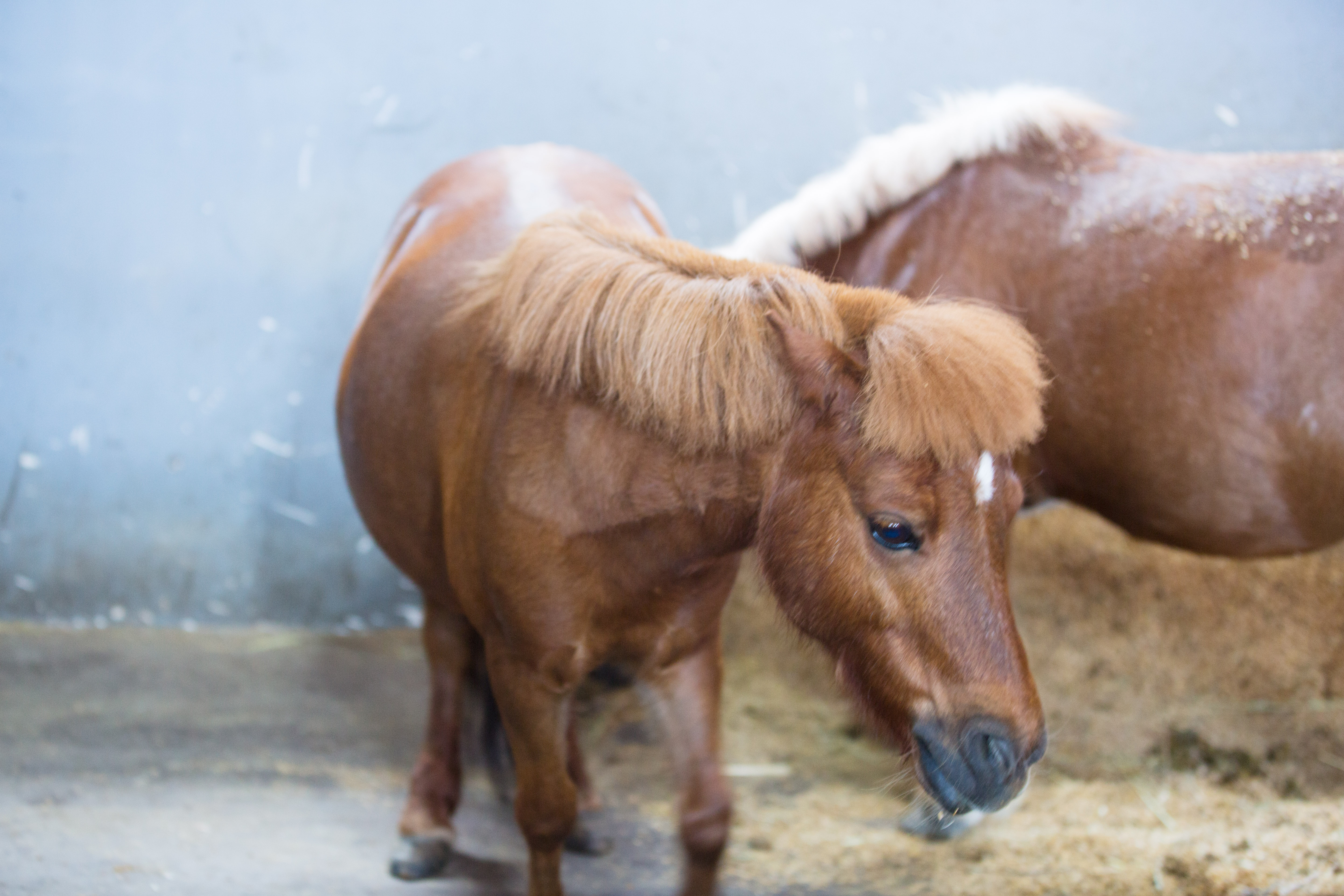莫干山郡安里君澜度假酒店怎么样,莫干山郡安里君澜度假
