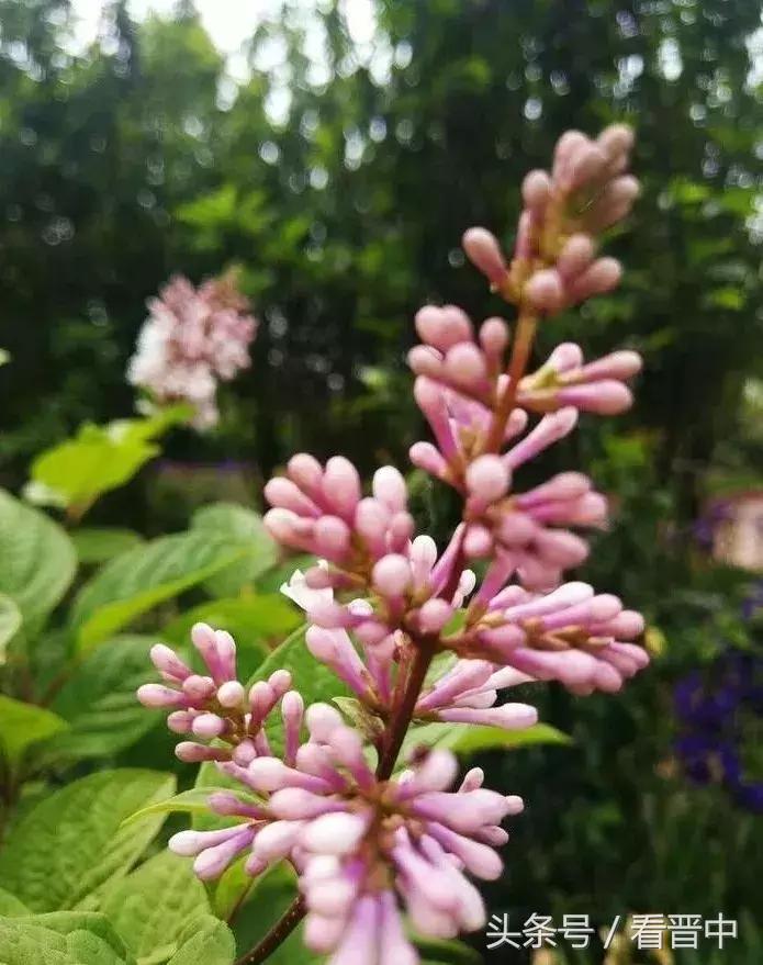 情系职中(杨保卫)