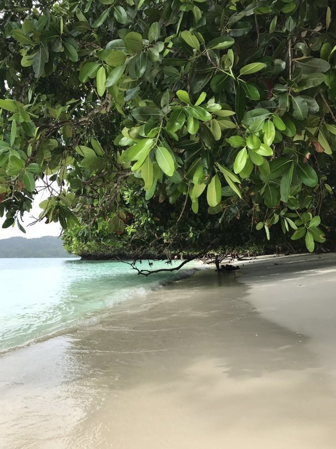 一个人的浪漫旅行视频,一个人的浪漫旅行自由自在