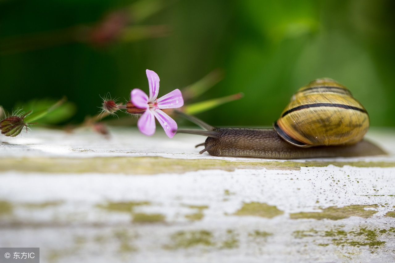 人生哲理小故事100字及感悟,26个有趣的哲理小故事