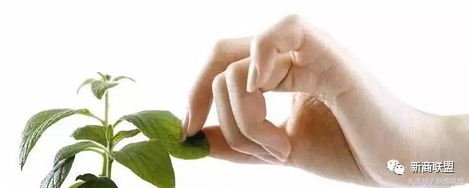 塞尔维亚人口,塞外独行侠