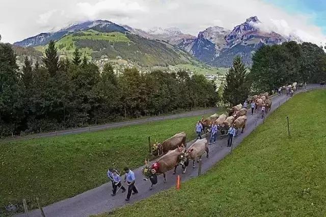 瑞典和瑞士你真的分清楚了吗?