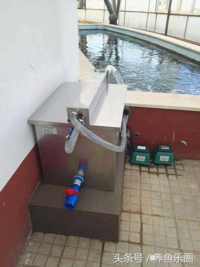 夏季防蚊小妙招赶紧收藏,鱼池夏天怎么驱蚊