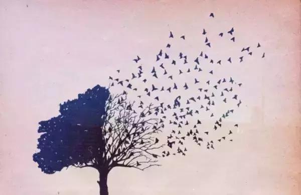 不一致的英语句子,英语中不同词表达同样意思句子