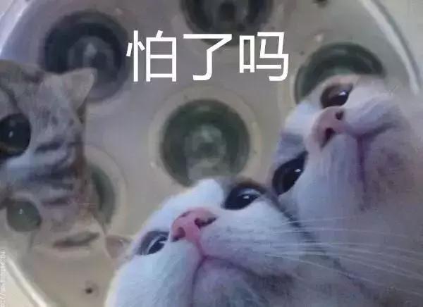 看着英格兰赢下点球大战，真心感慨一句，年轻真好