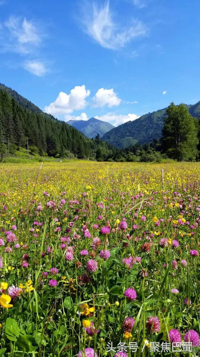 从成都出发最近的草原,成都出发4小时雪山花海