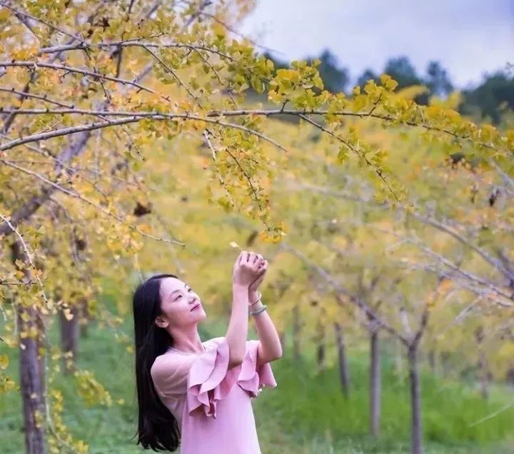 盘点梅西在足球场上,足坛里的梅西视频