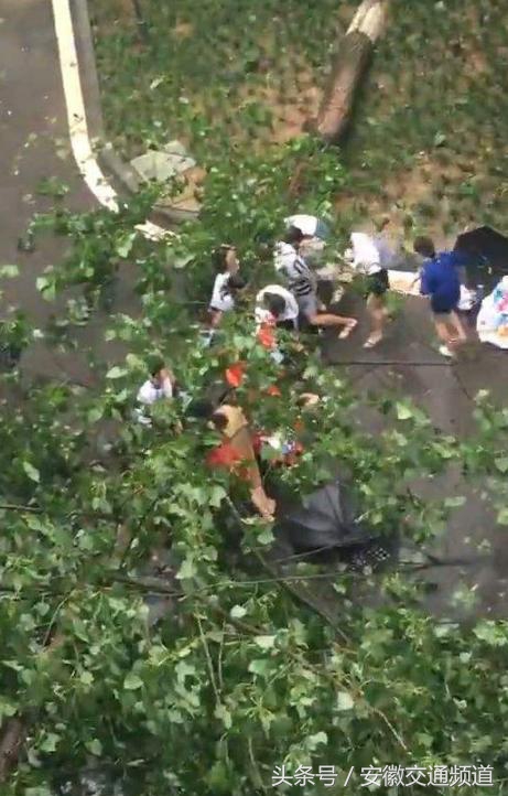 百日行动重点违法行为专项曝光,合肥百日行动严查什么