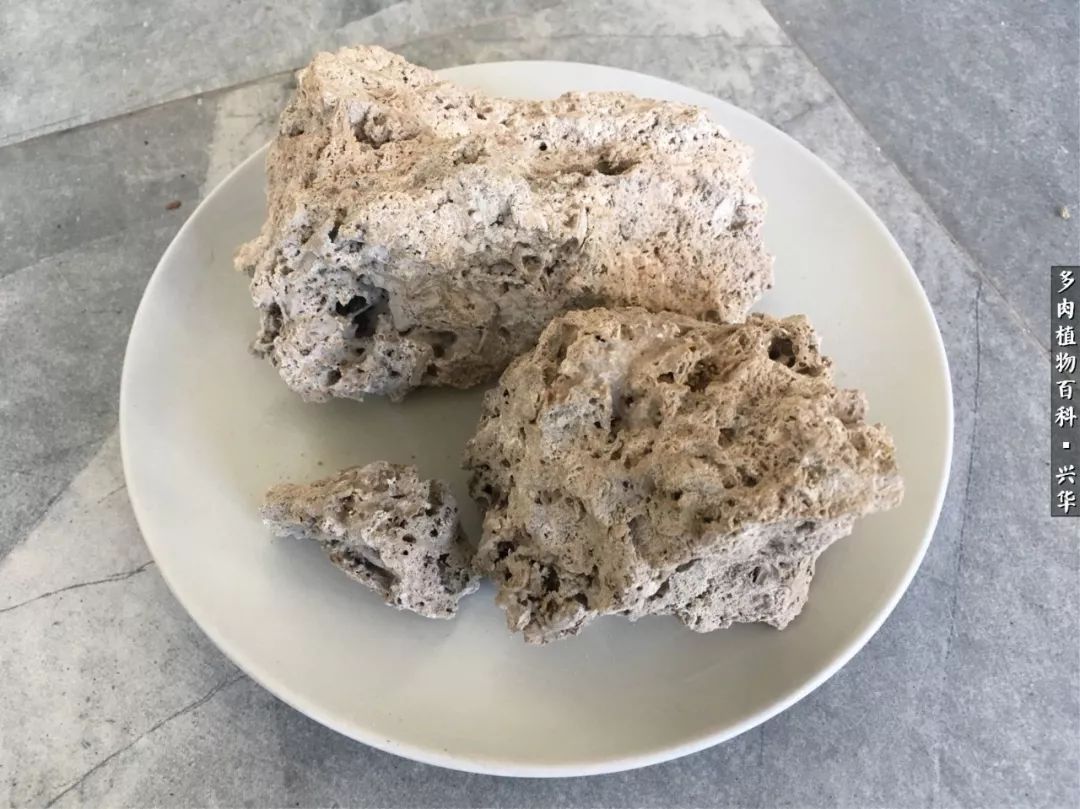 上水石假山造景庭院,上水石假山养的植物