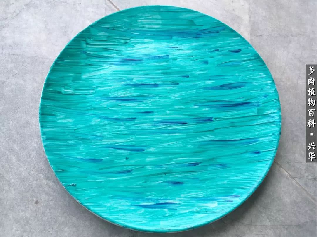 上水石假山造景庭院,上水石假山养的植物