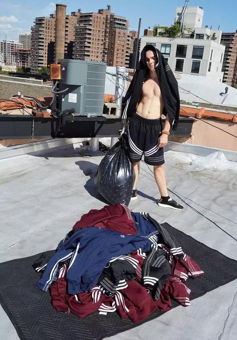 关于三叶草的知识,三叶草经典贝壳头不跟脚怎么办