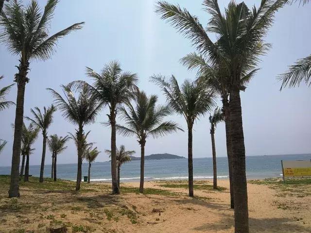 坐火车去海南的最佳方案,怎样去海南最快