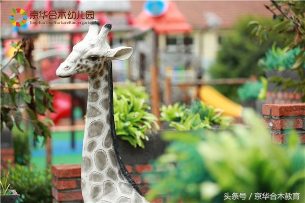 幼儿园加盟了解什么,北大附属实验幼儿园加盟条件