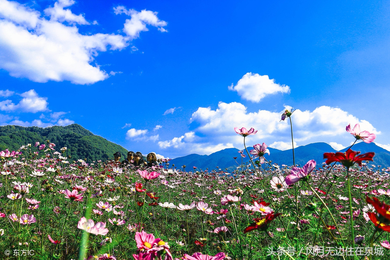 明年起哪些费用全部取消,3月1日起哪些费用全部取消