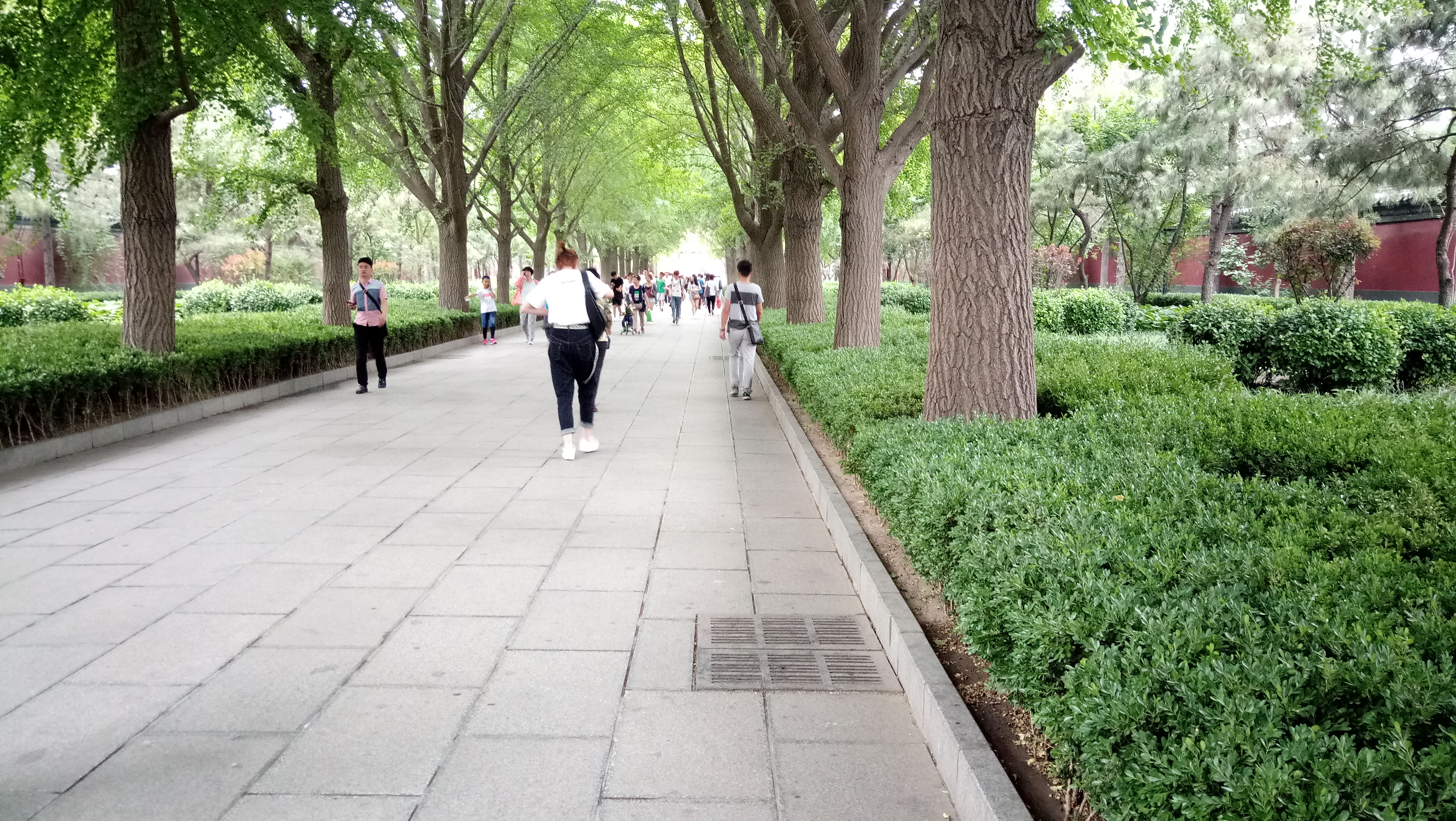 雍和宫和故宫游玩顺序,北京故宫和雍和宫哪个更值得去