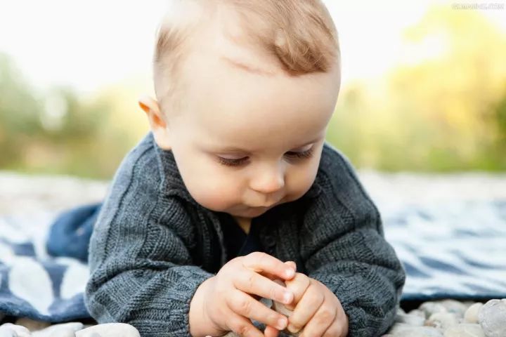 36个月宝贝早教,36岁早教益智视频