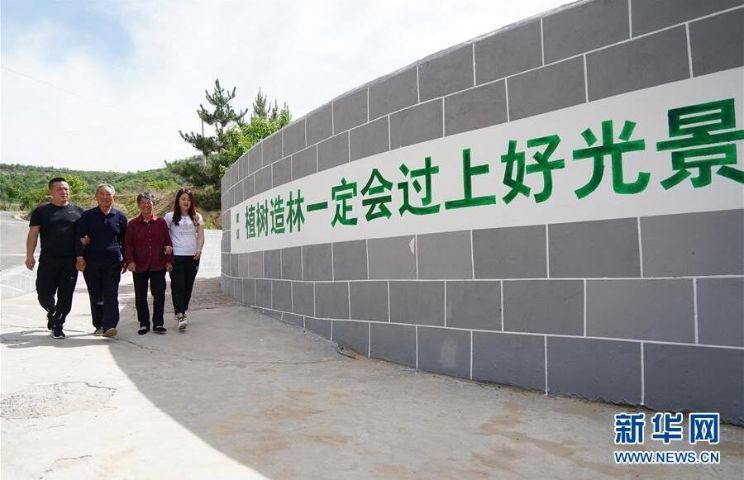 全国造林模范张莲莲,张莲莲植树造林的事迹