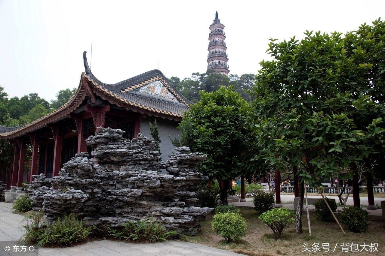 跟着舌尖去旅行寻味顺德,广东顺德地道美食之旅