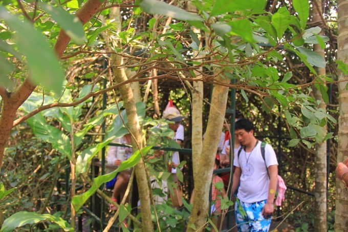 恋上这片海,一个人绚丽多彩的三亚自由行