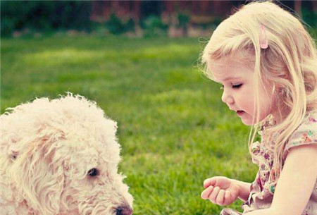 女孩新颖有涵养的名字大全,袁姓女孩有涵养的名字