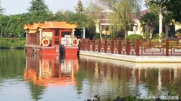 被“爱福家”养老幻境骗到的老人们