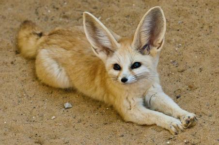 匡姐｜故事改结尾了——续球队昵称的故事