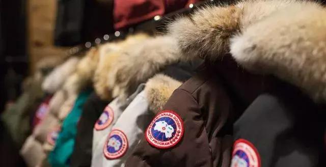 加拿大鹅进入中国市场,加拿大鹅有没有海外版