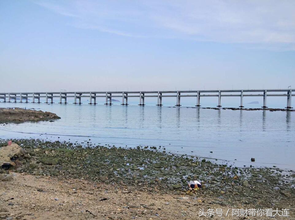 在大连想看海去哪,想去大连赶海去哪里