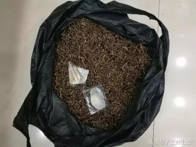 《我不是药神》：当心！“特效药”实为茶叶根，*子骗**忽悠的老套路！