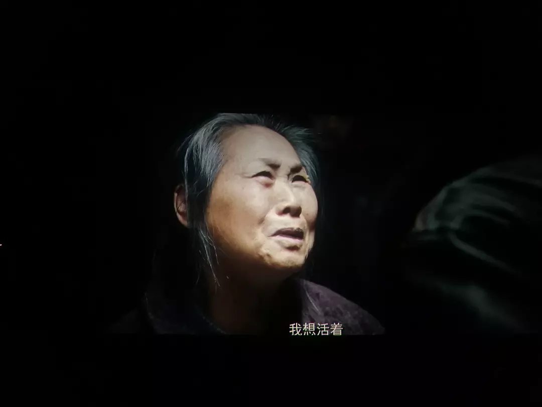 向死而生活下去全文,向死而生是勇气吗