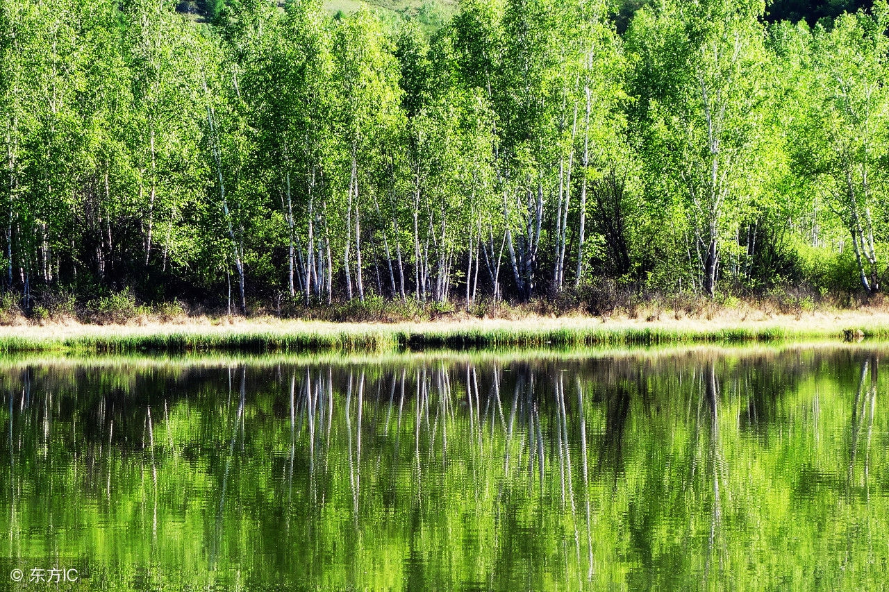 广德县去年经济社会发展掠影