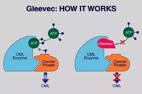 神药疗效真相揭秘,神药为什么那么贵