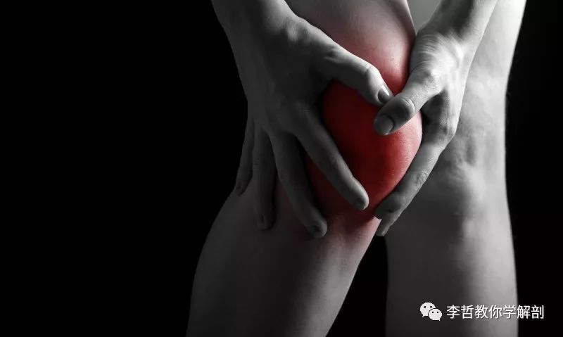 膝前痛的恢复方法,膝痛的诊断与治疗